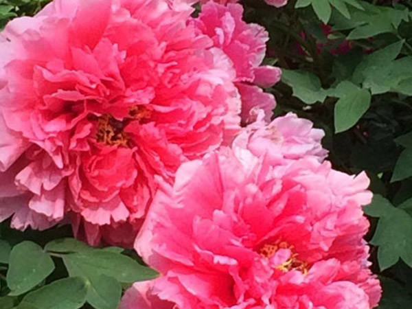 中集凌宇第七屆職工攝影比賽圓滿結(jié)束