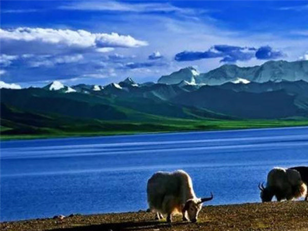 公司成功舉辦“慶元旦、迎新春”長(zhǎng)跑比賽